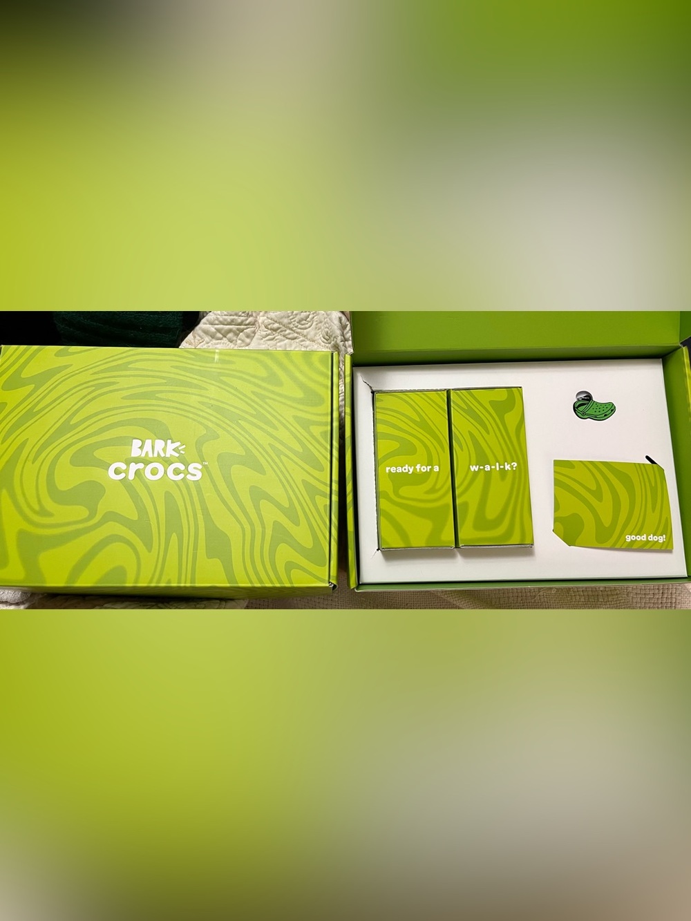 Crocs for Dogs - Picture 3 of 7